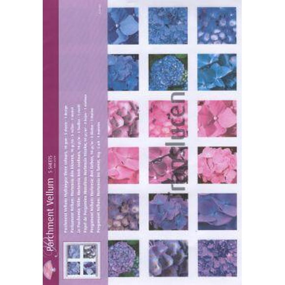 Vellum Hortensia 3 Couleurs (5 Feuilles)