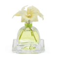 thumbnail image 4 of AGRARIA Diffuseur de Verveine Citronnée Parfumée, 7.4 Onces avec Roseaux et Fleurs, 4 of 5