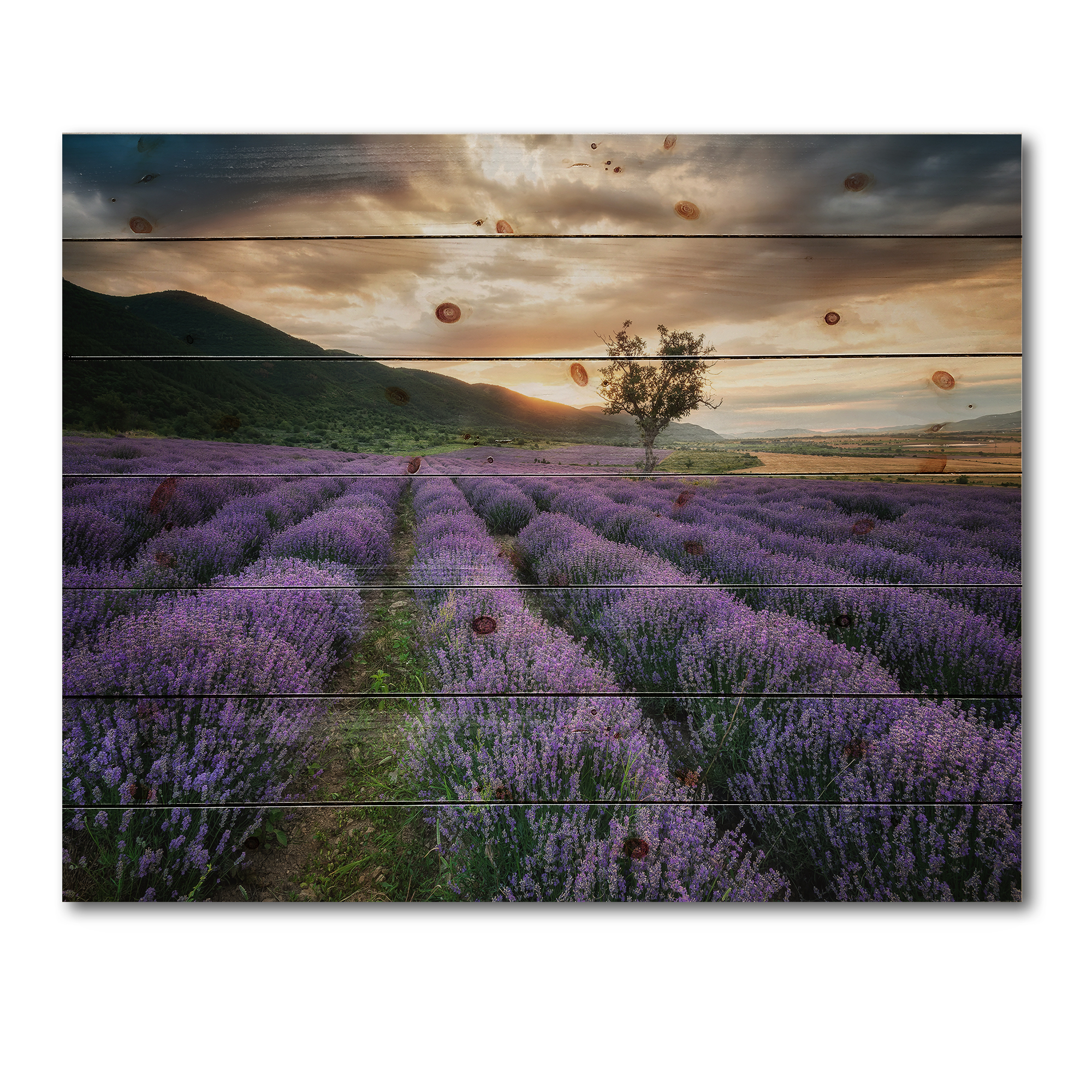 Designart 'Dramatic Clouds and Sunrise Over Lavender Field VII' Farmhouse Print on Natural Pine Wood