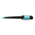 thumbnail image 5 of Eaton Tripp Lite Series 400G Multimode 50/125 OM4 Plenum-Rated Fiber Optic Cable, 24F MTP/MPO-PC (F/F), Aqua, 10 m - Network cable - MTP/MPO/PC multi-mode (F) to MTP/MPO/PC multi-mode (F) - 10 m - fiber optic - 50 / 125 micron - OM4 - plenum - black, aqua, 5 of 5