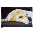 thumbnail image 1 of Carolines Treasures AMB1072PILLOWCASE Naptime Yellow Labrador Fabric Standard Pillowcase, 1 of 2