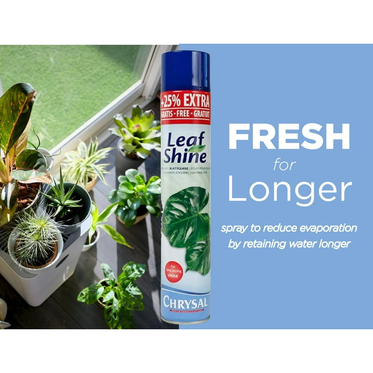 Oh Happy Plant Bath Foliage-cleaning Spray: 16oz Houseplant Cleaning Spray  Leaf Shine Plant Bath Leaf Cleaner Plant Spray 