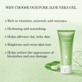 thumbnail image 5 of Aloderma Signature Aloe Brightening Set 5-Piece Set, 5 of 11