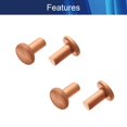 thumbnail image 3 of HUGFEGWE Round Flat Head Rivet Flat Head Solid Copper Rivets Nuts Copper Flat Head Semi-Tubular Rivets for Household Automobile Industry Brass Tone 2.5x5mm 200PCS CJB91-25871, 3 of 7