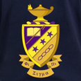 thumbnail image 3 of CafePress - Phi Sigma Pi Full Color Long Sleeve T Shirt - Women's Long Sleeve Graphic Tee Casual Fit, 3 of 4