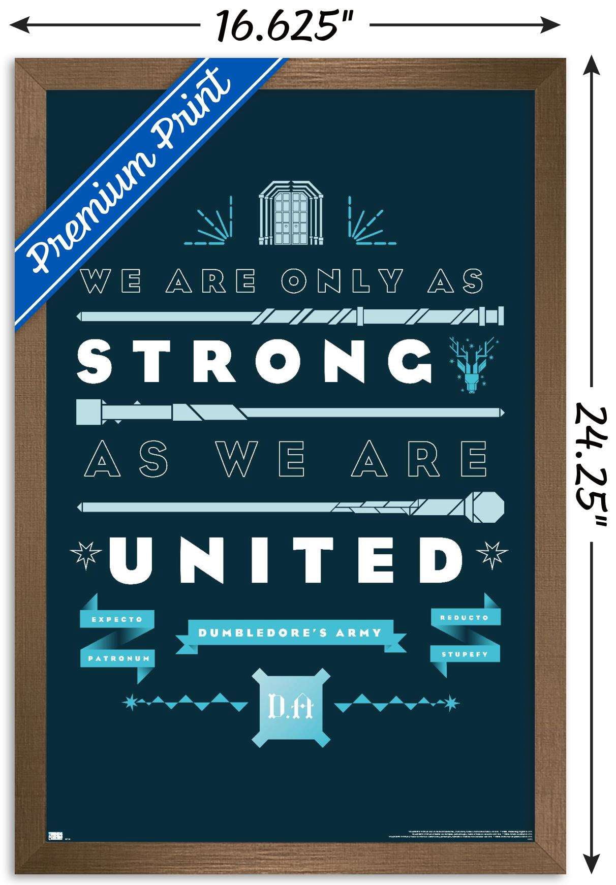 Harry Potter - United Wall Poster, 14.725" x 22.375", Framed