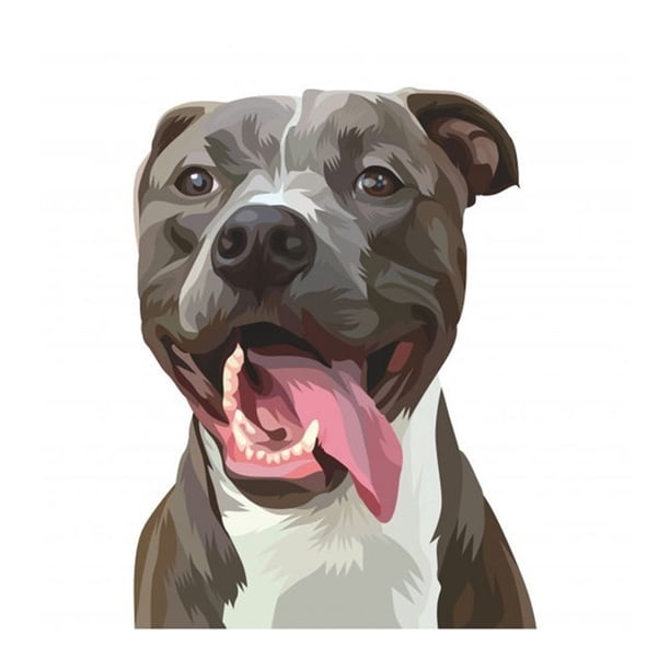 DIY imagen Digital animales pintura sin marco por números arte artesanía dibujo Likrtyny Arte deco