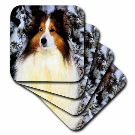 

Sheltie set of 4 Coasters - Soft cst-640-1