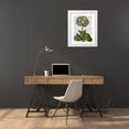 thumbnail image 3 of Fab Funky 20x24 White Modern Wood Framed Museum Art Print Titled - Primula Auricula Blue, 3 of 4