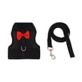 thumbnail image 2 of Rabbit Harness Leash Set, Adjustable Pet Vest with Breathable Mesh, Complete Rabbit Walking Gear for Small Pets Guinea Pigs, Black, 2 of 6