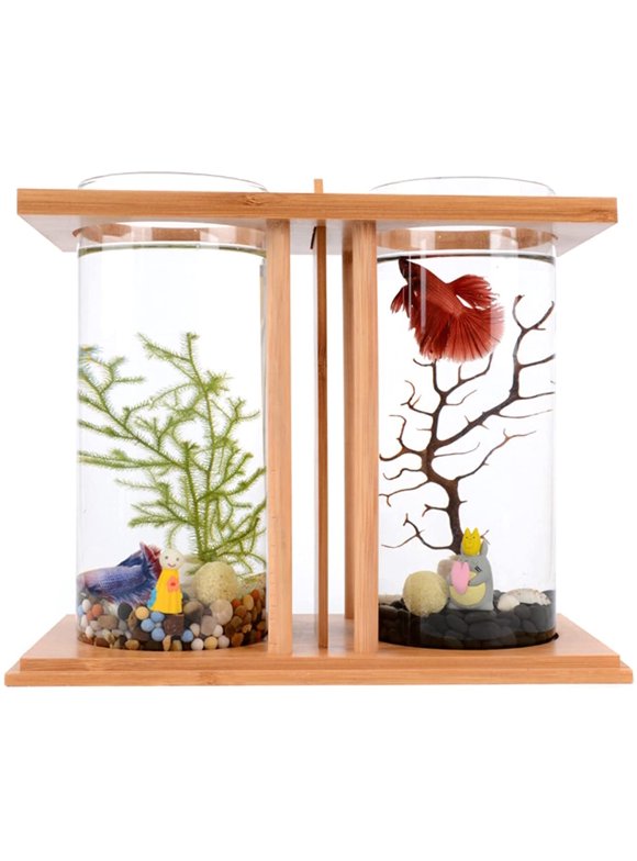 Betta Fish Tanks in Fish Tanks, Fish Bowls, & Aquariums