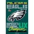 thumbnail image 1 of Logo de l'équipe NFL Philadelphia Eagles - Super Bowl LIX, 1 of 4