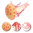 thumbnail image 4 of Milisten Simulation Marine Model Jellyfish Model Yard Water Creature Toy for Kids Ocean Toy for Kids, 4 of 5