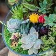 thumbnail image 4 of Phenofice 4PCS Micro House Resin Assorted Color Random Style Garden Resin Crafts Terrarium Decoration, 4 of 8