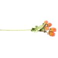 thumbnail image 3 of Cardo artificial Flor de simulación Ramo de flores Oficina en casa Decoración floral Banquete de boda Cardo falso, Rosa Inevent HA7103-01, 3 of 6