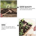 thumbnail image 5 of 20 pcs Mini Zen Mini Zen Sand rakes Bamboo rake Zen Garden Tool rake Garden Rake Tabletop Brown, 5 of 5