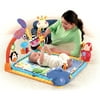 Fisher-Price Open Top Musical Discovery Gym