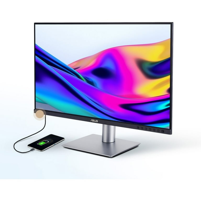 ASUS ProArt 24.1