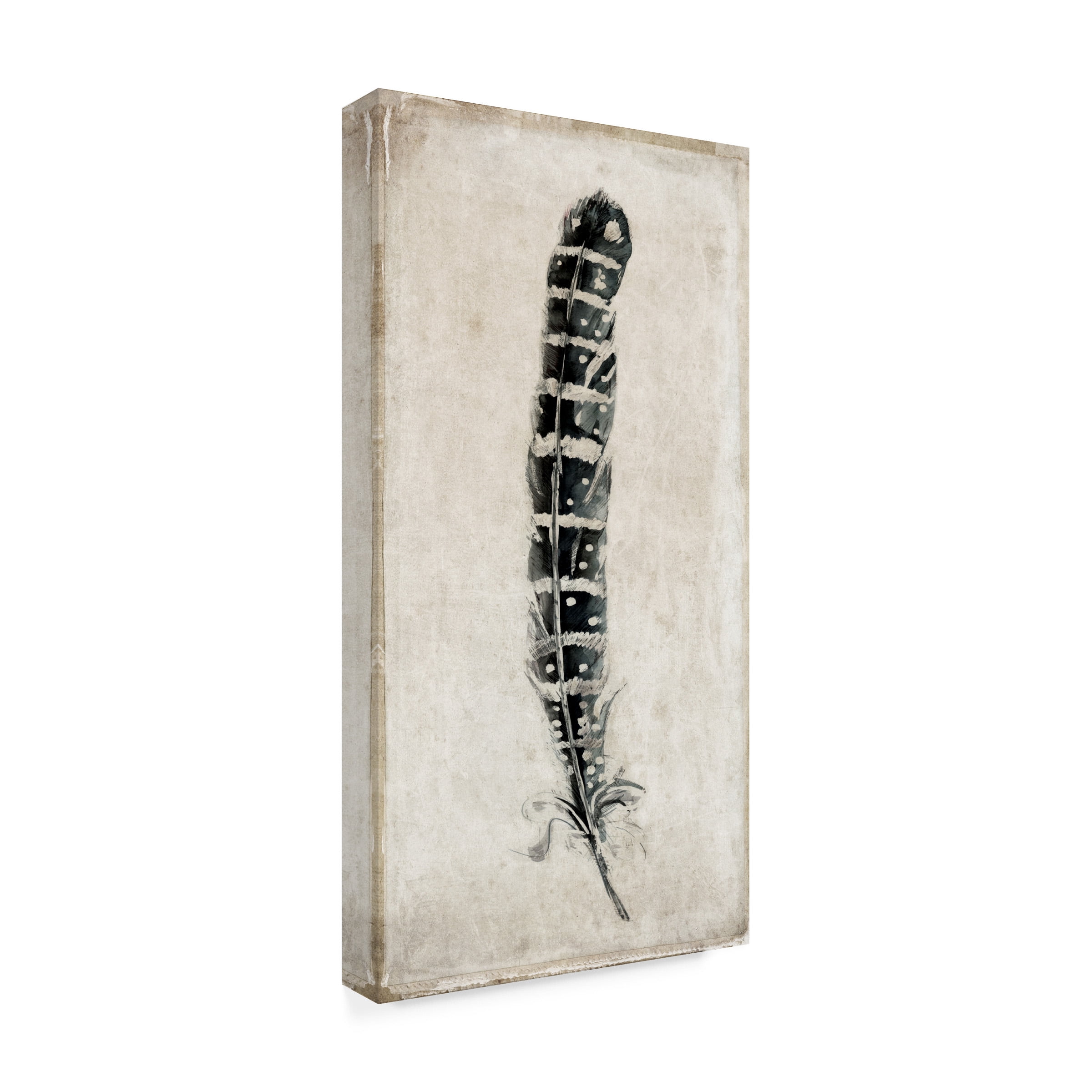 Symposium Design 'Feather 4' Canvas Art