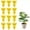 12Pack-a8, variant on 60 Pack Plant Sticky Trap Fungus Gnat Traps Killer for Indoor and Outdoor Bug, Fruit Fly Sticky Strips Protect Houseplant, Non-Toxic and Odorless