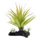 thumbnail image 1 of Planta Agua Decoración de Césped Complimentos Acuario El 11.5x17cm Zulema Reptil Terrario Césped, 1 of 8