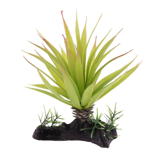 Planta Agua decoración de Césped Yuyangstore Terrario Reptil 11.5x17cm