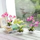 thumbnail image 2 of Planta falsa Moyic de tela ABS decoración hogar maceta artificial color morado, 2 of 6