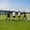 B-16x7FT Metal Non-Foldable White, variant on SLSY 12x6/16x7 ft Portable Soccer Goal for Backyard, Foldable Steel Frame with 6 Cones & Practice Net for Youth/Adult Training