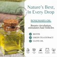 thumbnail image 4 of Set de champú y acondicionador Edenika Rosemary con biotina 480 ml, 4 of 7