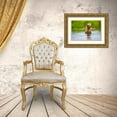 thumbnail image 3 of Su, Keren 32x23 Gold Ornate Wood Framed with Double Matting Museum Art Print Titled - Brown Bear standing on Brooks River-Katmai National Park-Alaska-USA, 3 of 4