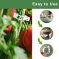 thumbnail image 6 of 200 Pcs Tomato Clips, Plastic Trellis Clips Plant Support Clips, Plant Clips for Support, Grape Vine, Tomato Vine, Vegetables Plants, Garden Clips to Grow Upright Makes Plants Healthier, 6 of 7