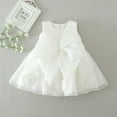 thumbnail image 3 of Bébé bébé Fleur Fille Robe Princesse Bowknot Fête Concours Robe de Baptême Robes de Mariage Anniversaire 0-24M, 3 of 4
