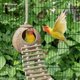 thumbnail image 3 of Escondite de coco natural con escalera, juguete para pájaros y animales pequeños (casa con escalera, superficie natural), 3 of 5