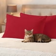 thumbnail image 2 of Pack of 2 Pure Red Outdoor Pillow Covers Decorative, Waterproof Pillow Protector, Simple Solid Color Lumbar Throw Pillowcases for Patio Couch Sofa Home Decor 20"x12", 2 of 8