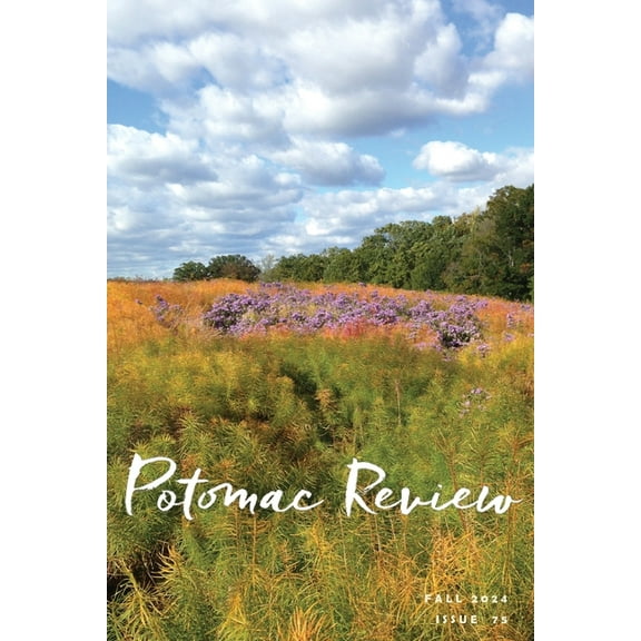 Potomac Review: Issue 75, (Paperback)