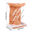 thumbnail image 2 of RENACLIPY Orange Drying Rack - Practical, Easy to Use and Clean, Kitchen Organizer for Efficient Drying, 2 of 6