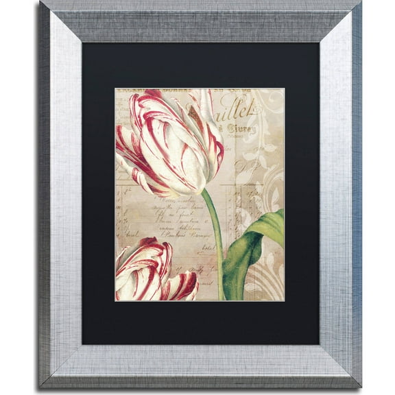 Trademark Fine Art "Tulips" Canvas Art by Color Bakery, Black Matte, Silver Frame