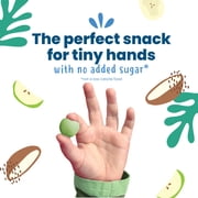 Amara Organic Apple Kale Fruit Bites, Baby & Toddler Snacks, No Added Sugar, Stage 3, 0.75 oz Bag