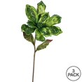 thumbnail image 3 of Vickerman OF160713 Tige de Fleur de Magnolia à la Chaux&44; 22 & 9 Po., 3 of 3