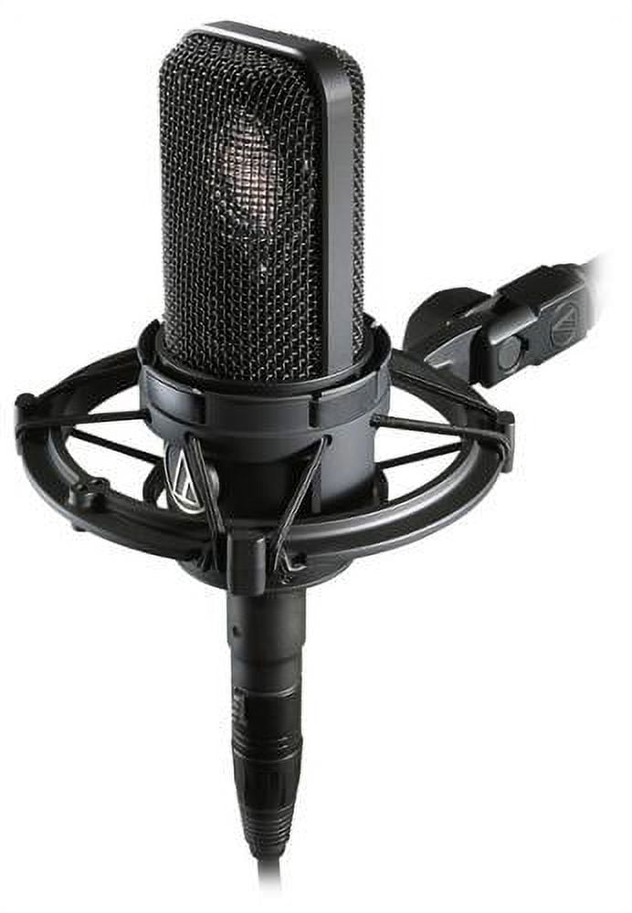 Microphone