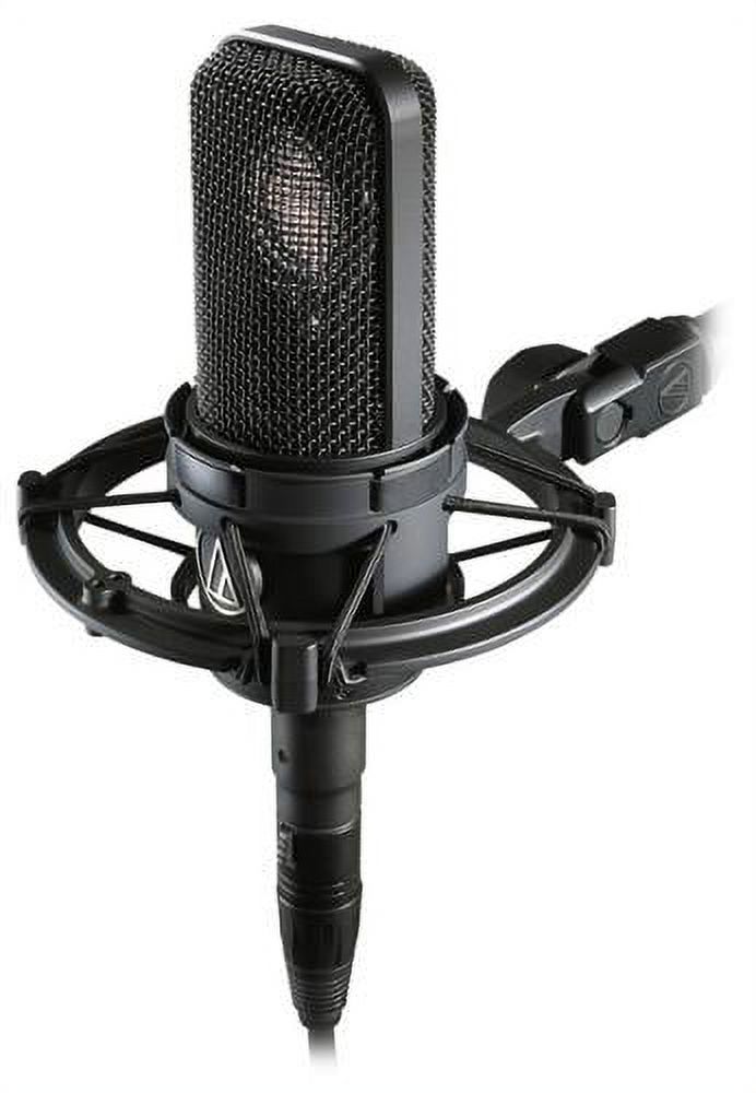 Microphone - image 2 of 4