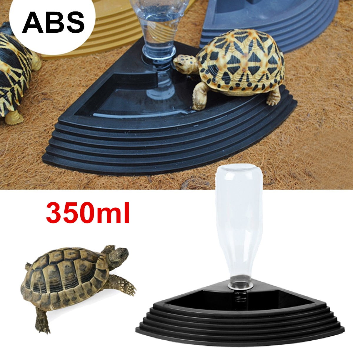 automatic tortoise feeder