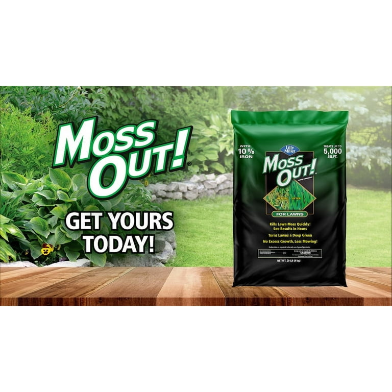 Lilly Miller Moss Out