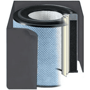 Austin Air FR400A Health-Mate Filter Air Purifier, Standard, 1 Black