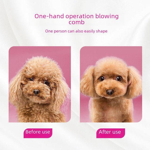 Secador de pelo para mascotas Golden Retriever Pet Shop Peluquería para perros Secado y extracción de pelo Peine soplador Máquina sopladora de pelo silenciosa