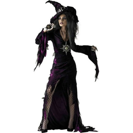 Morris Costumes Adult Womens Witch & Sorceress Tattered Costume 12-14, Style DG4805