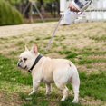 thumbnail image 2 of Retractable Dog Heavy Duty Auto Lock Pet Retractable With Strong Nylon Tape One Hand Brake Control, 2 of 9