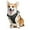 Black, variant on Magshion No Pull Mesh Dog Harness with Control Handle, Reflective Vest Pet Harness for Large Dogs, Sky Blue L