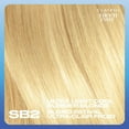 thumbnail image 3 of Clairol Nice'n Easy Permanent Hair Dye, 3 of 9