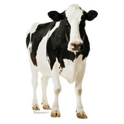 Advanced Graphics Life Size Cow Cardboard Stand-Up, 5ft